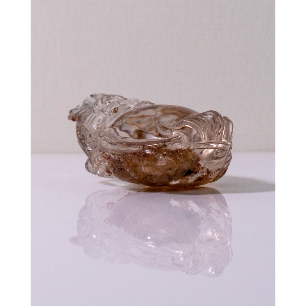 紅幽靈中型胖肚肚龍龜-細節圖3