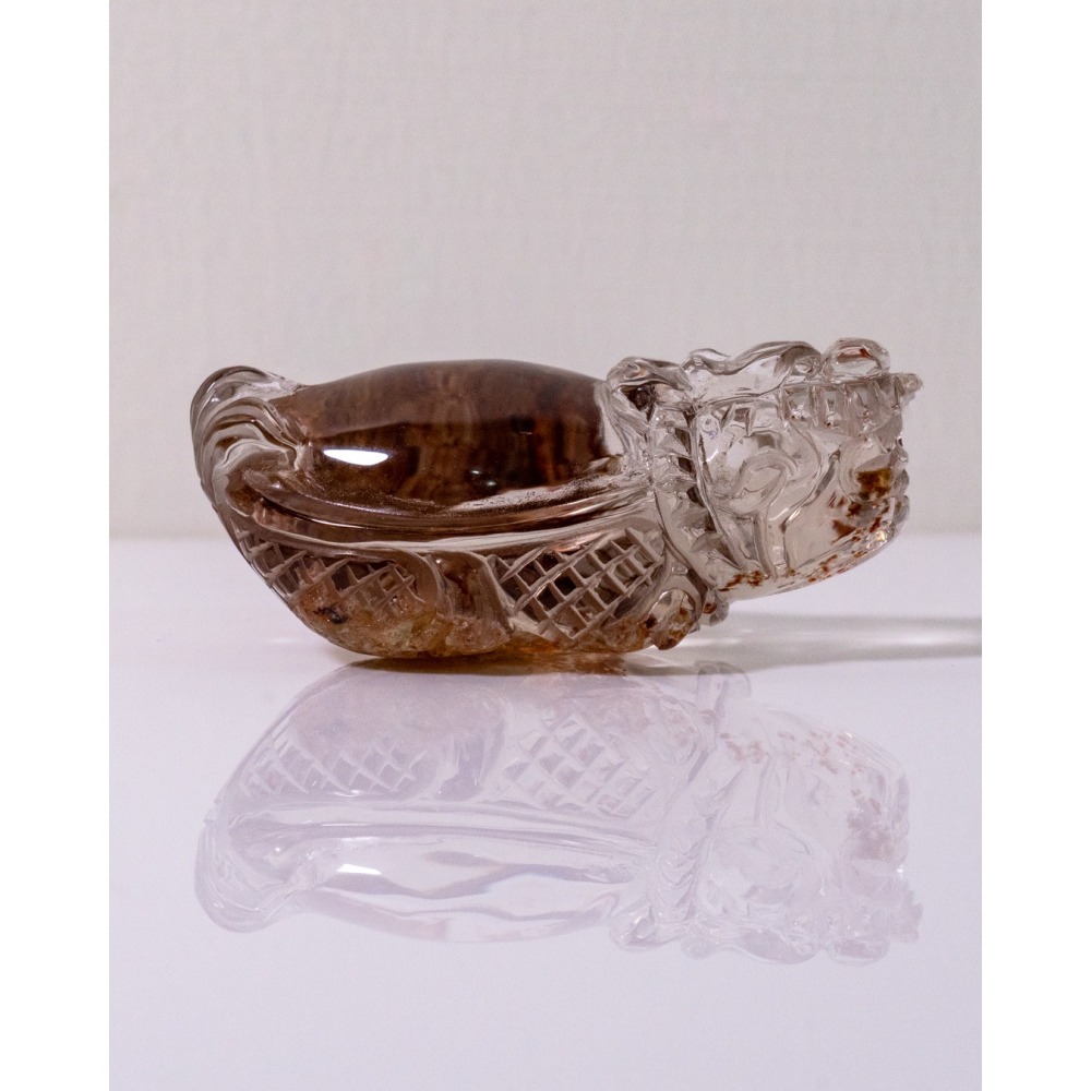 紅幽靈中型胖肚肚龍龜-細節圖4