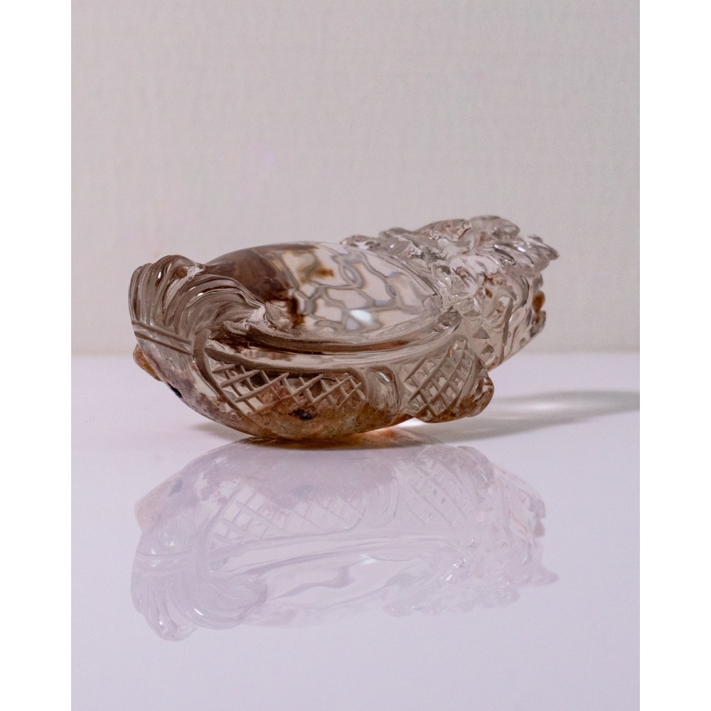 紅幽靈中型胖肚肚龍龜-細節圖5