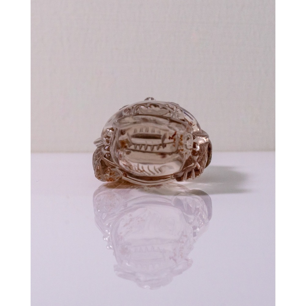 紅幽靈中型胖肚肚龍龜-細節圖6