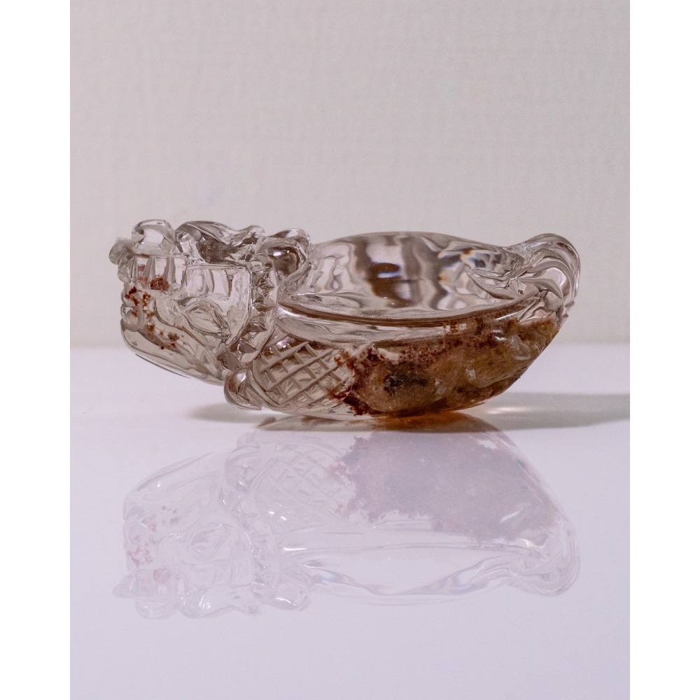 紅幽靈中型胖肚肚龍龜-細節圖8