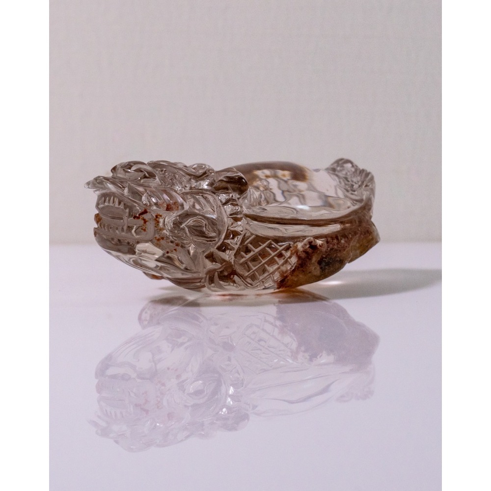 紅幽靈中型胖肚肚龍龜-細節圖9