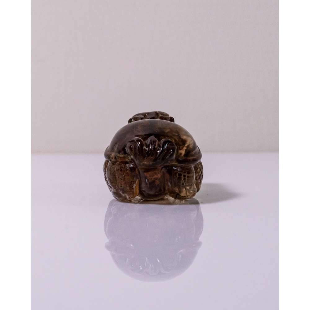 紅幽靈茶晶渾圓短胖小龍龜-細節圖4