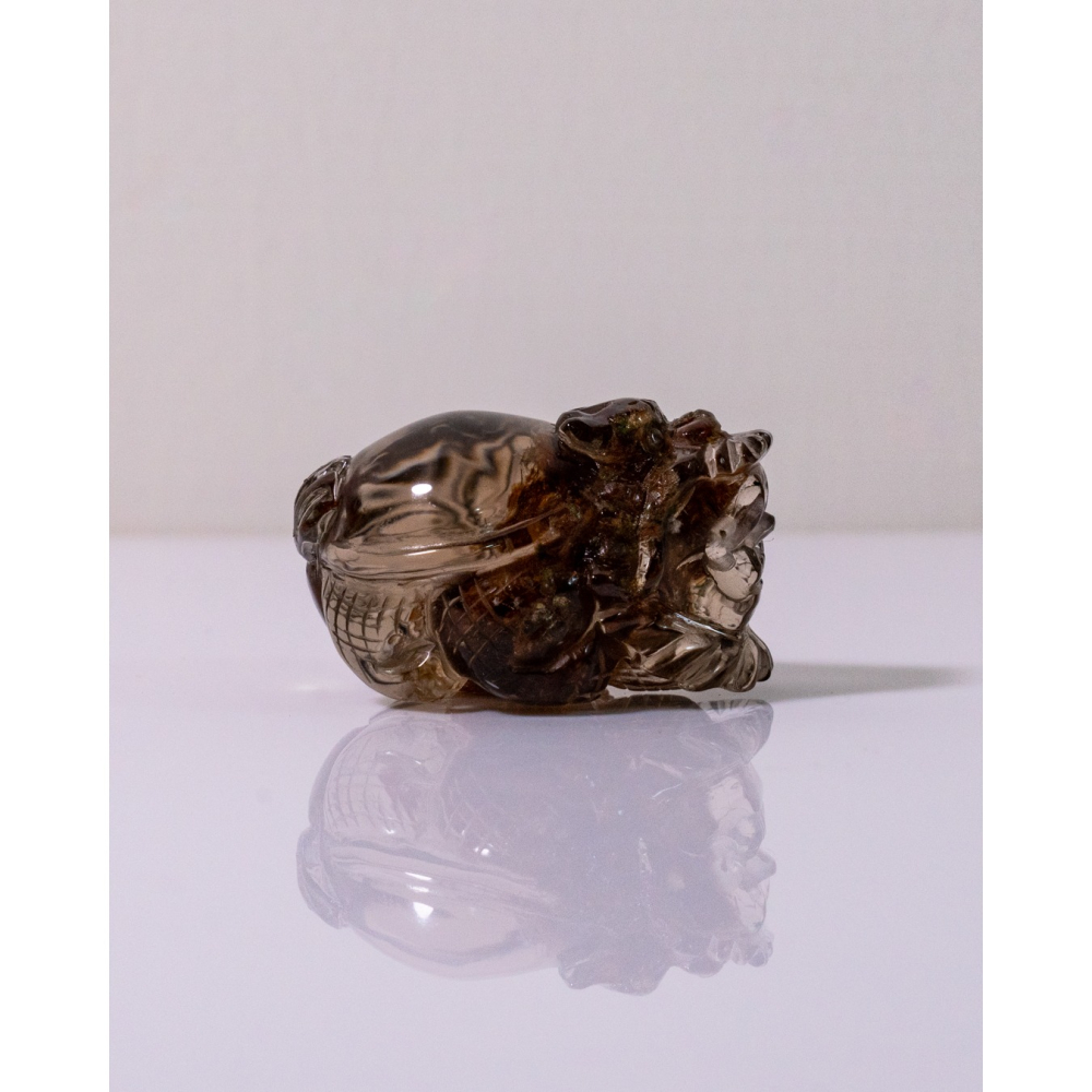 紅幽靈茶晶渾圓短胖小龍龜-細節圖5