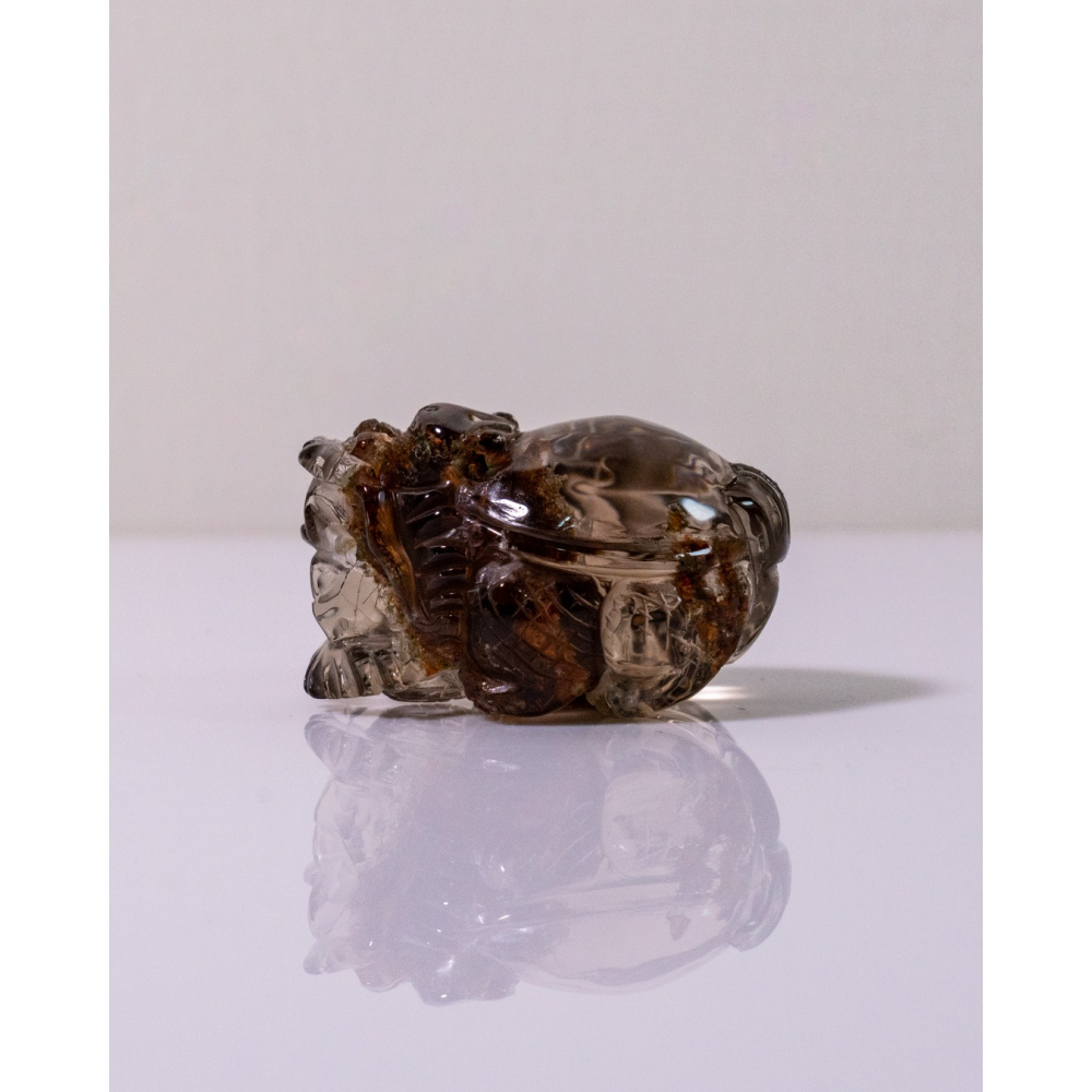 紅幽靈茶晶渾圓短胖小龍龜-細節圖9