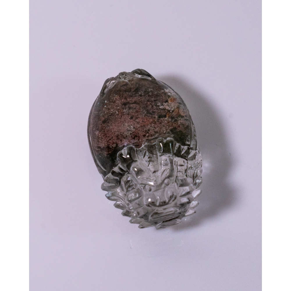 粉綠花幽靈小型胖肚肚龍龜-細節圖2