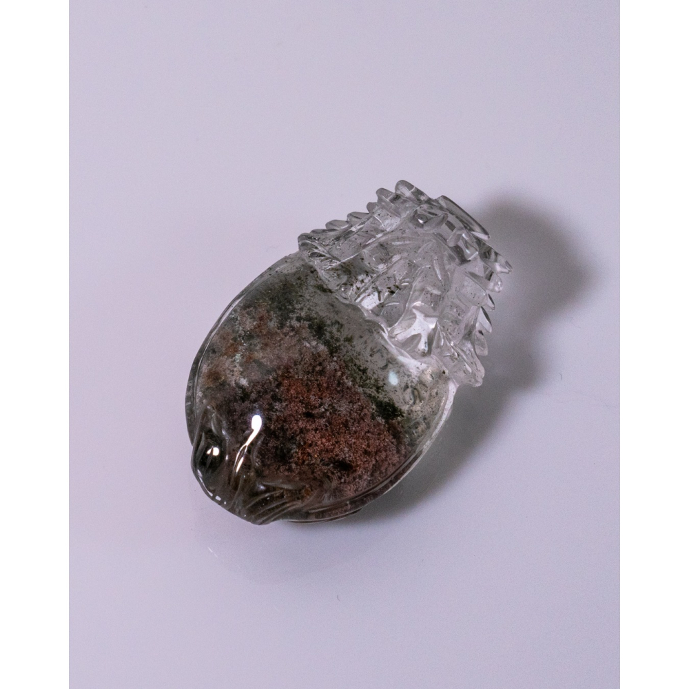 粉綠花幽靈小型胖肚肚龍龜-細節圖3