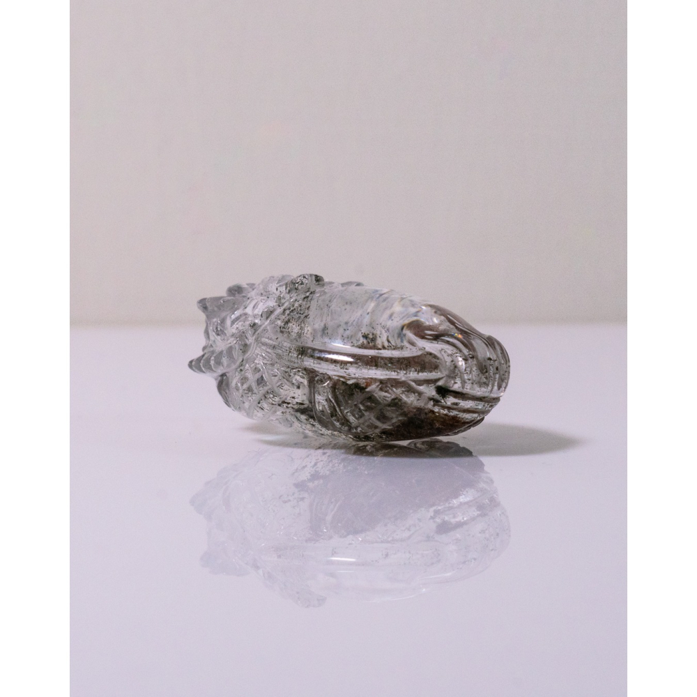 粉綠花幽靈小型胖肚肚龍龜-細節圖4