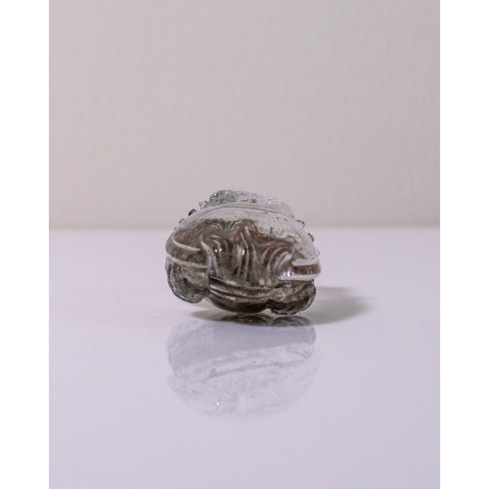 粉綠花幽靈小型胖肚肚龍龜-細節圖5