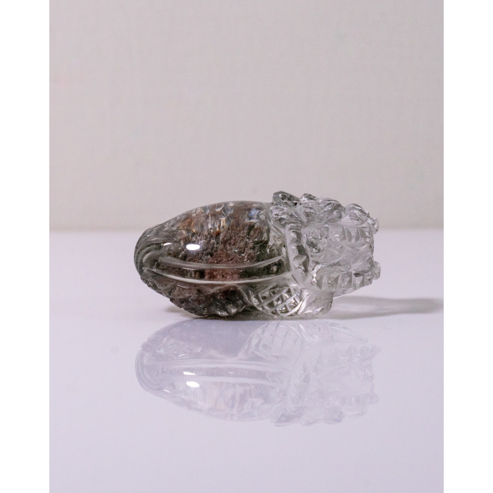 粉綠花幽靈小型胖肚肚龍龜-細節圖6