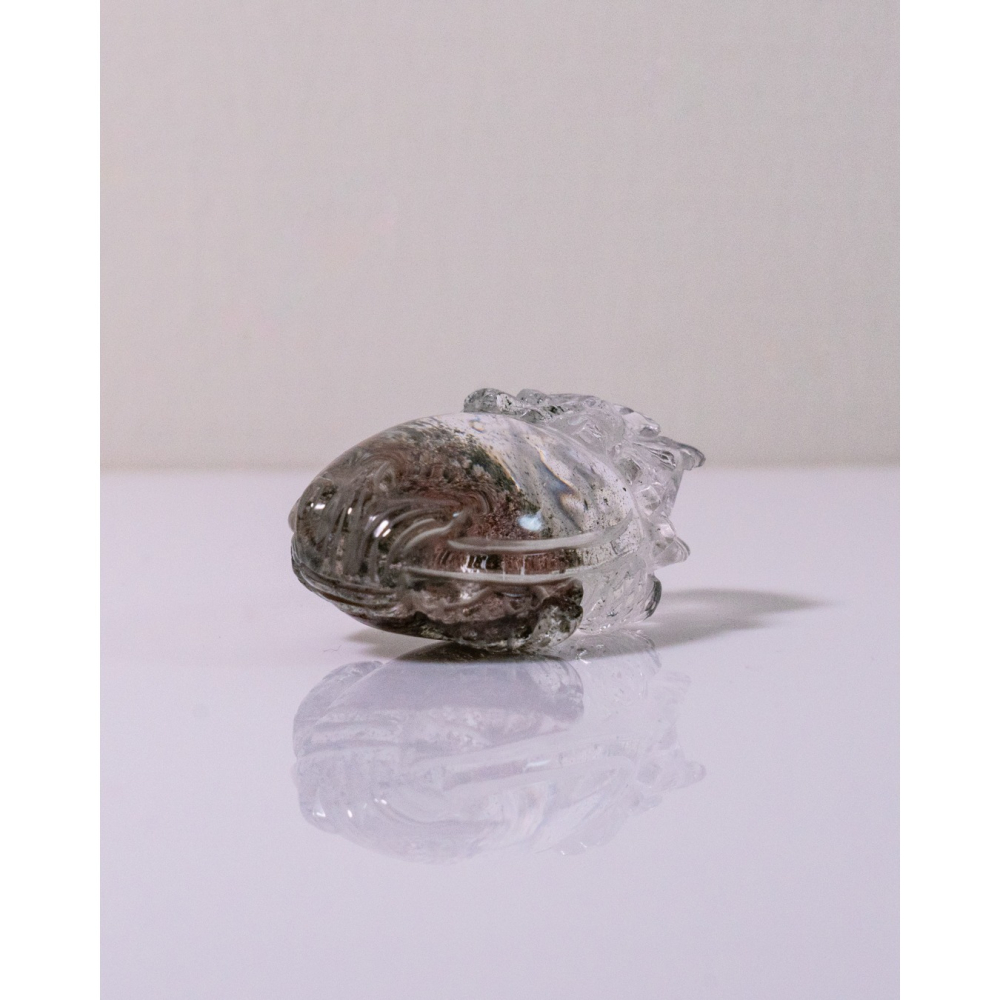 粉綠花幽靈小型胖肚肚龍龜-細節圖7