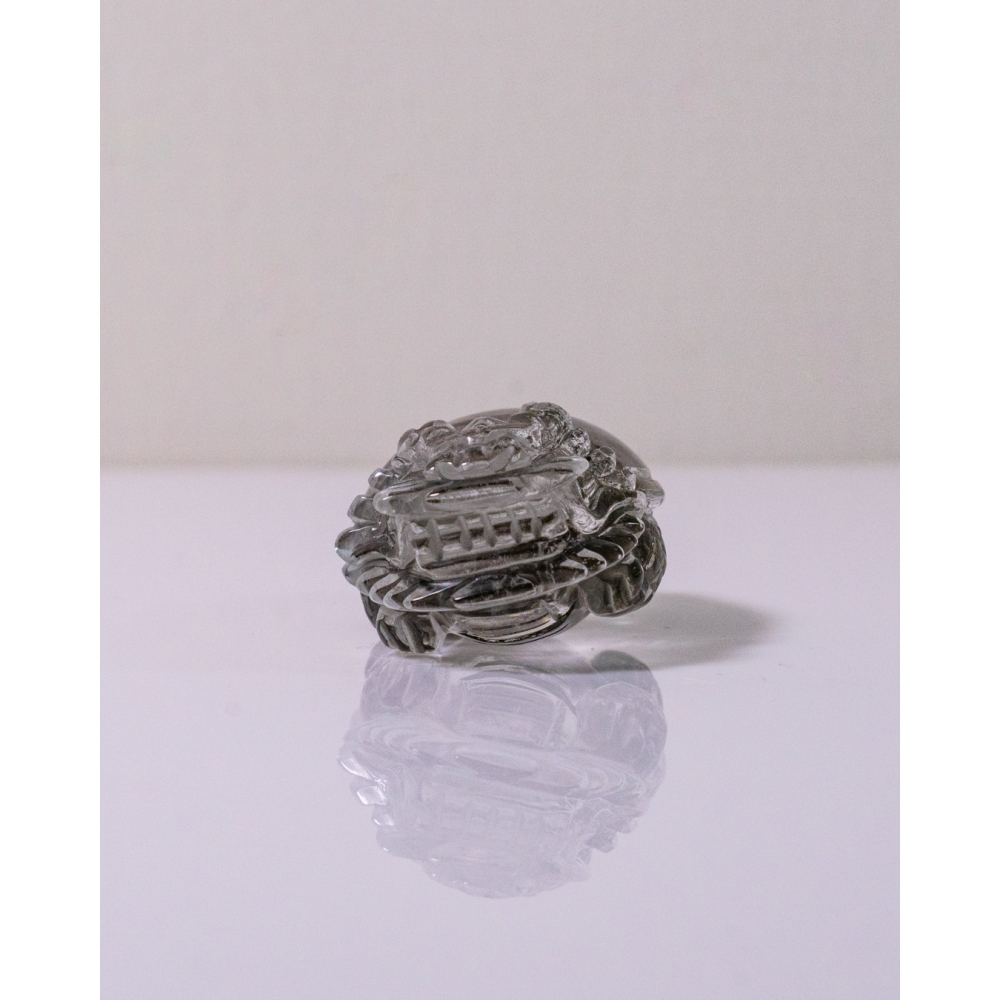 粉綠花幽靈小型胖肚肚龍龜-細節圖8