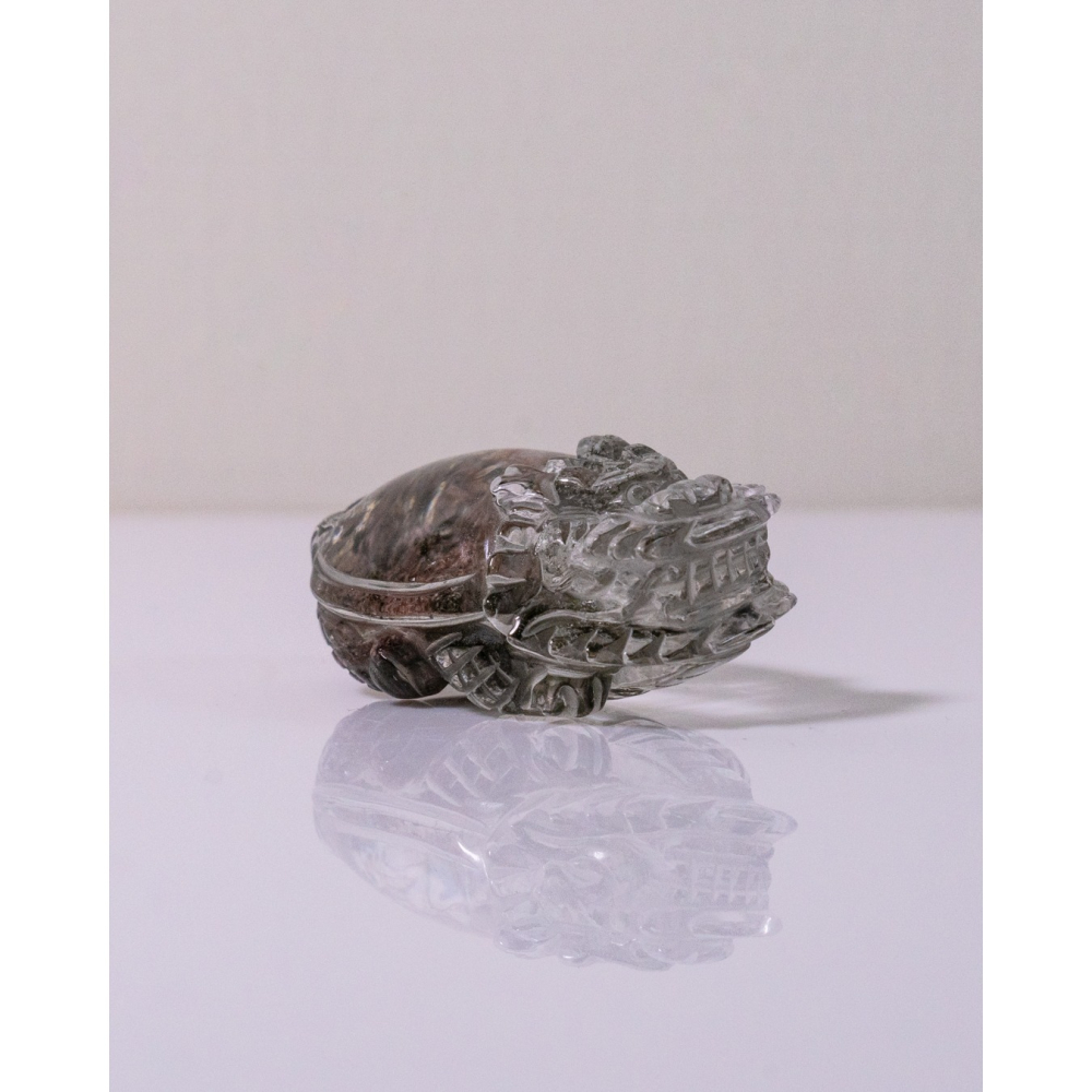 粉綠花幽靈小型胖肚肚龍龜-細節圖9