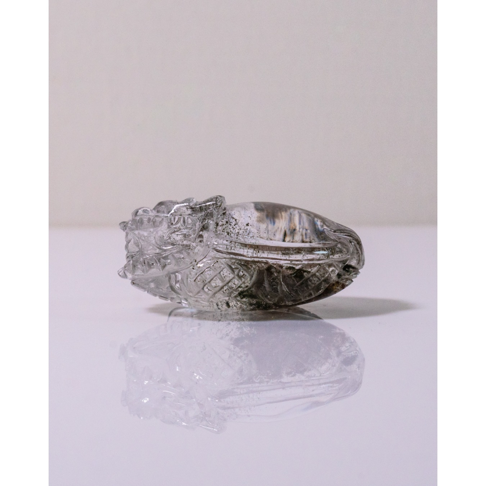 粉綠花幽靈小型胖肚肚龍龜-細節圖10