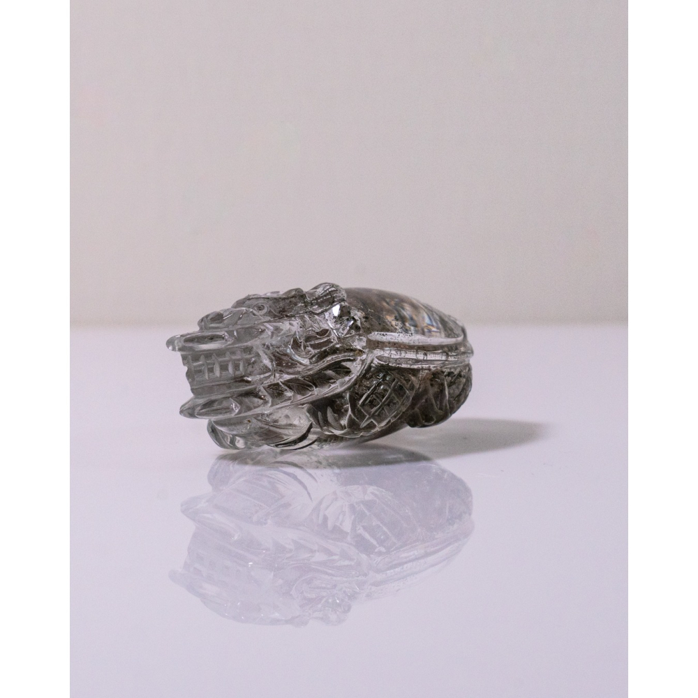 粉綠花幽靈小型胖肚肚龍龜-細節圖11