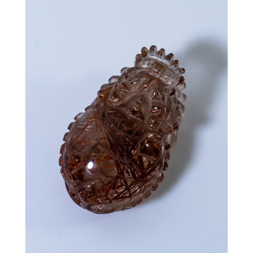 紅銅鈦小龍龜-細節圖2