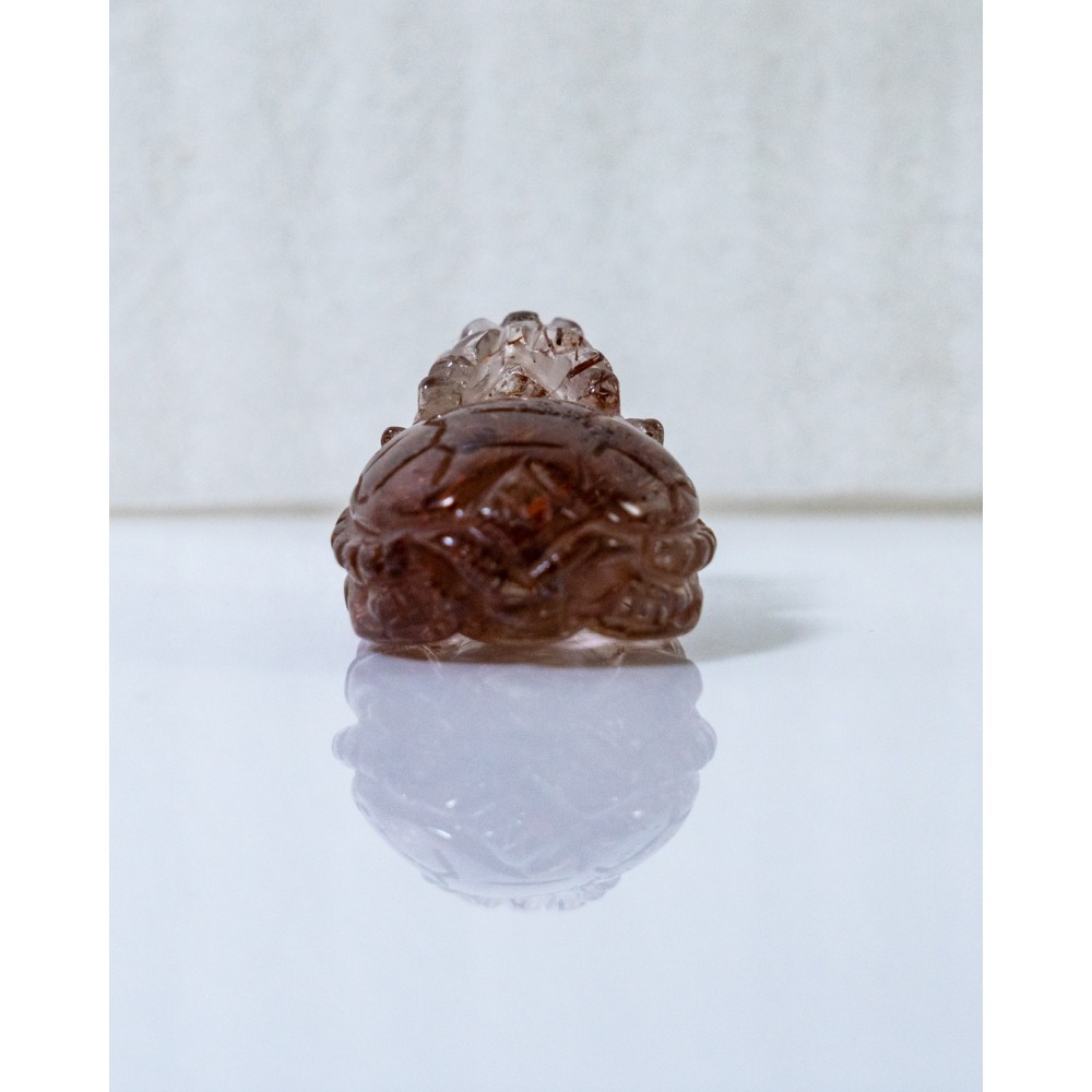 紅銅鈦小龍龜-細節圖3