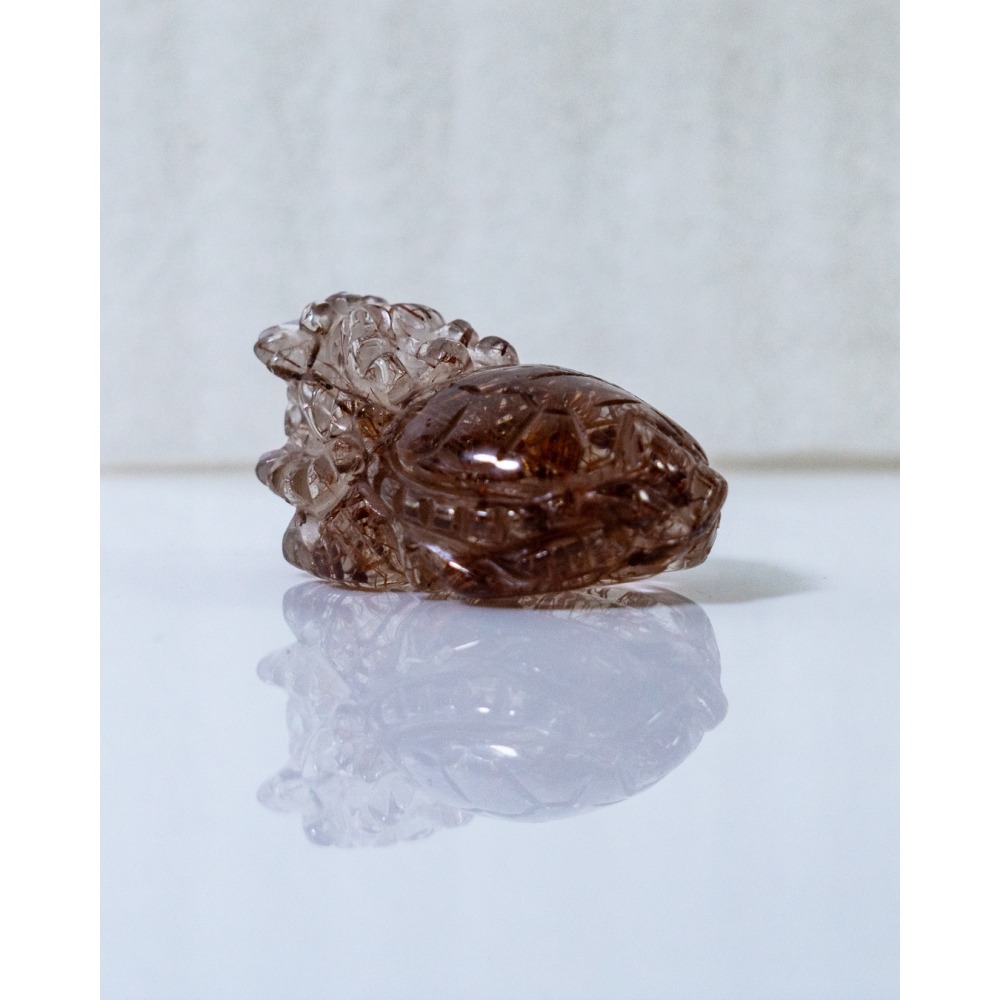 紅銅鈦小龍龜-細節圖4