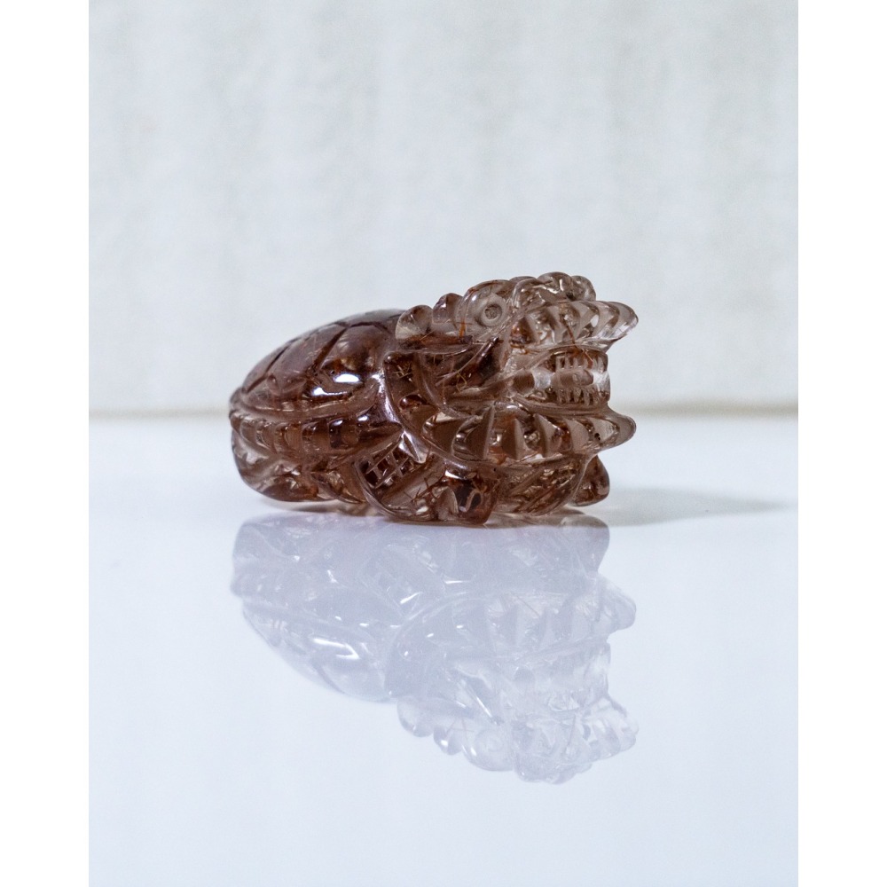 紅銅鈦小龍龜-細節圖6