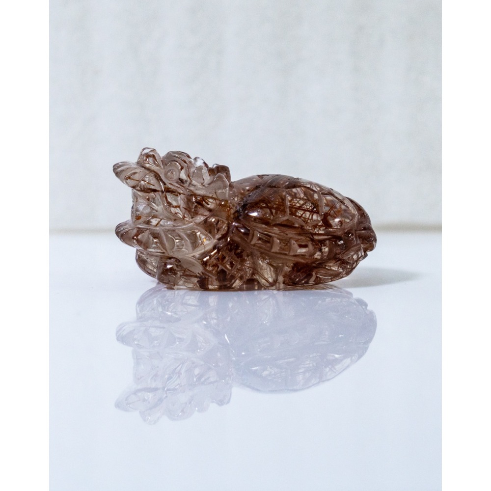 紅銅鈦小龍龜-細節圖7