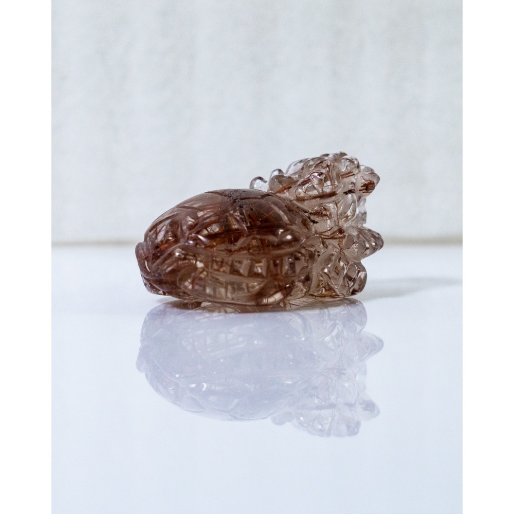 紅銅鈦小龍龜-細節圖8