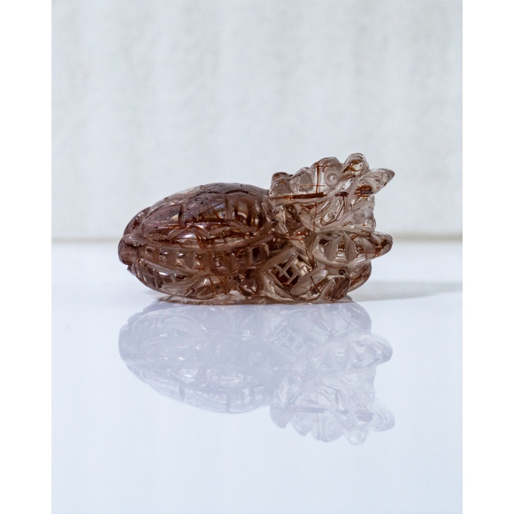 紅銅鈦小龍龜-細節圖9