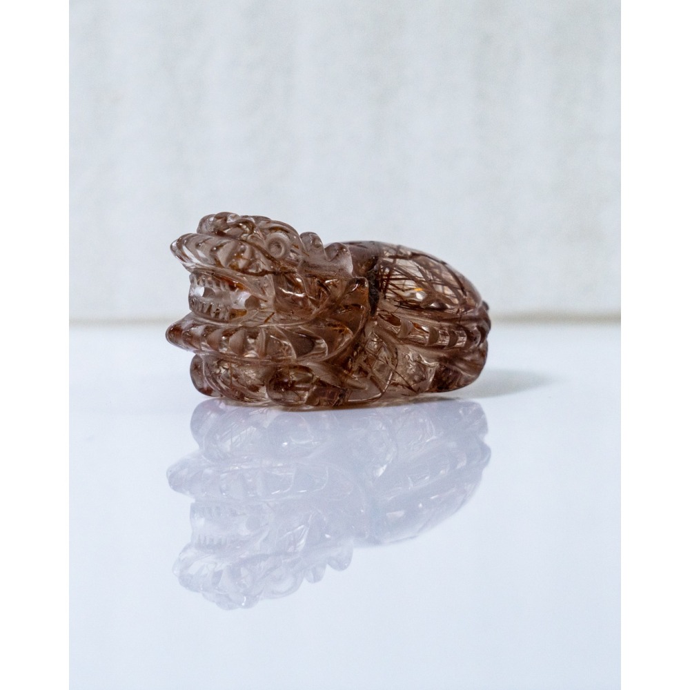 紅銅鈦小龍龜-細節圖10