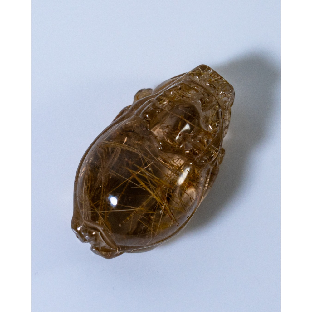 鈦晶小龍龜-細節圖2