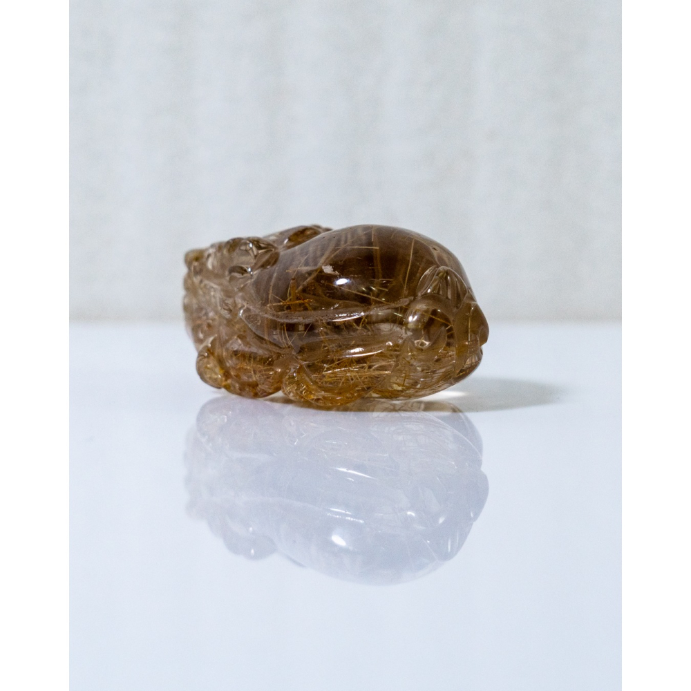 鈦晶小龍龜-細節圖3