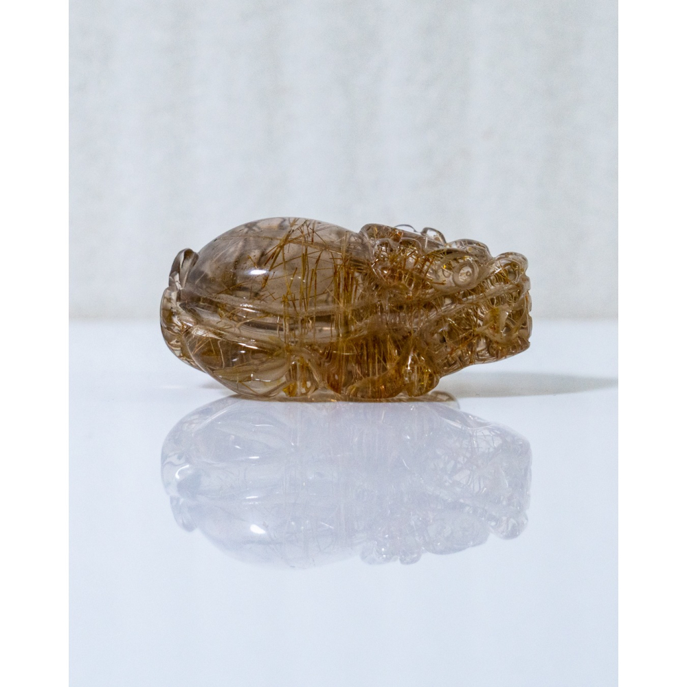 鈦晶小龍龜-細節圖5