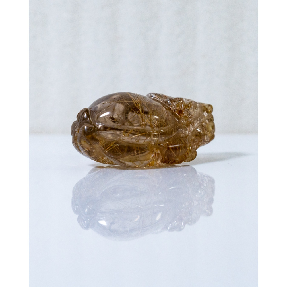 鈦晶小龍龜-細節圖6