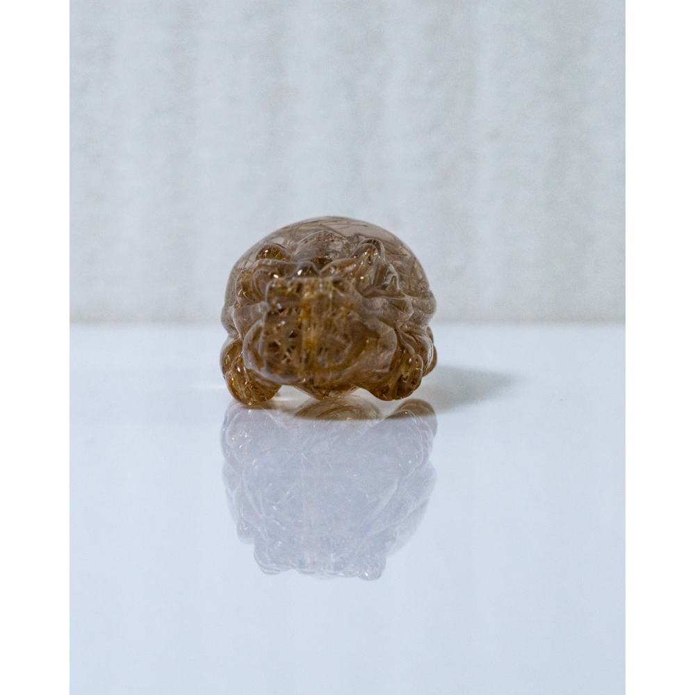 鈦晶小龍龜-細節圖7