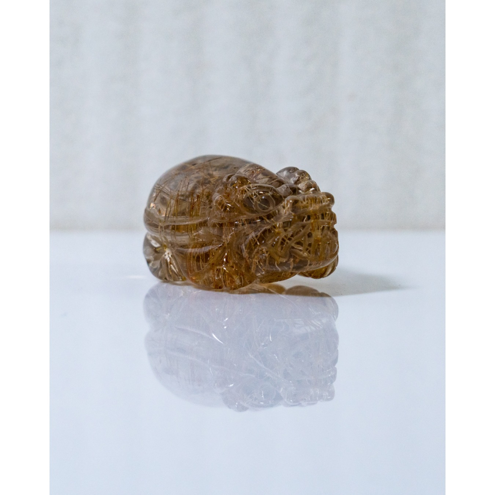 鈦晶小龍龜-細節圖8