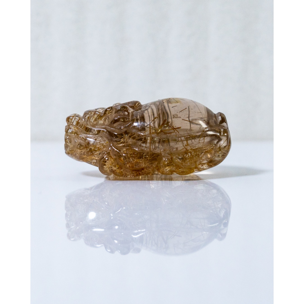 鈦晶小龍龜-細節圖9