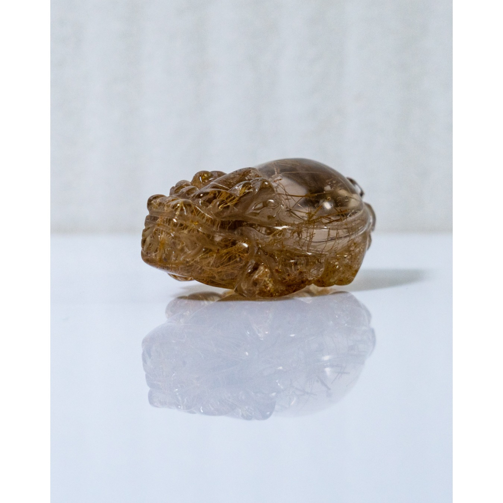 鈦晶小龍龜-細節圖10