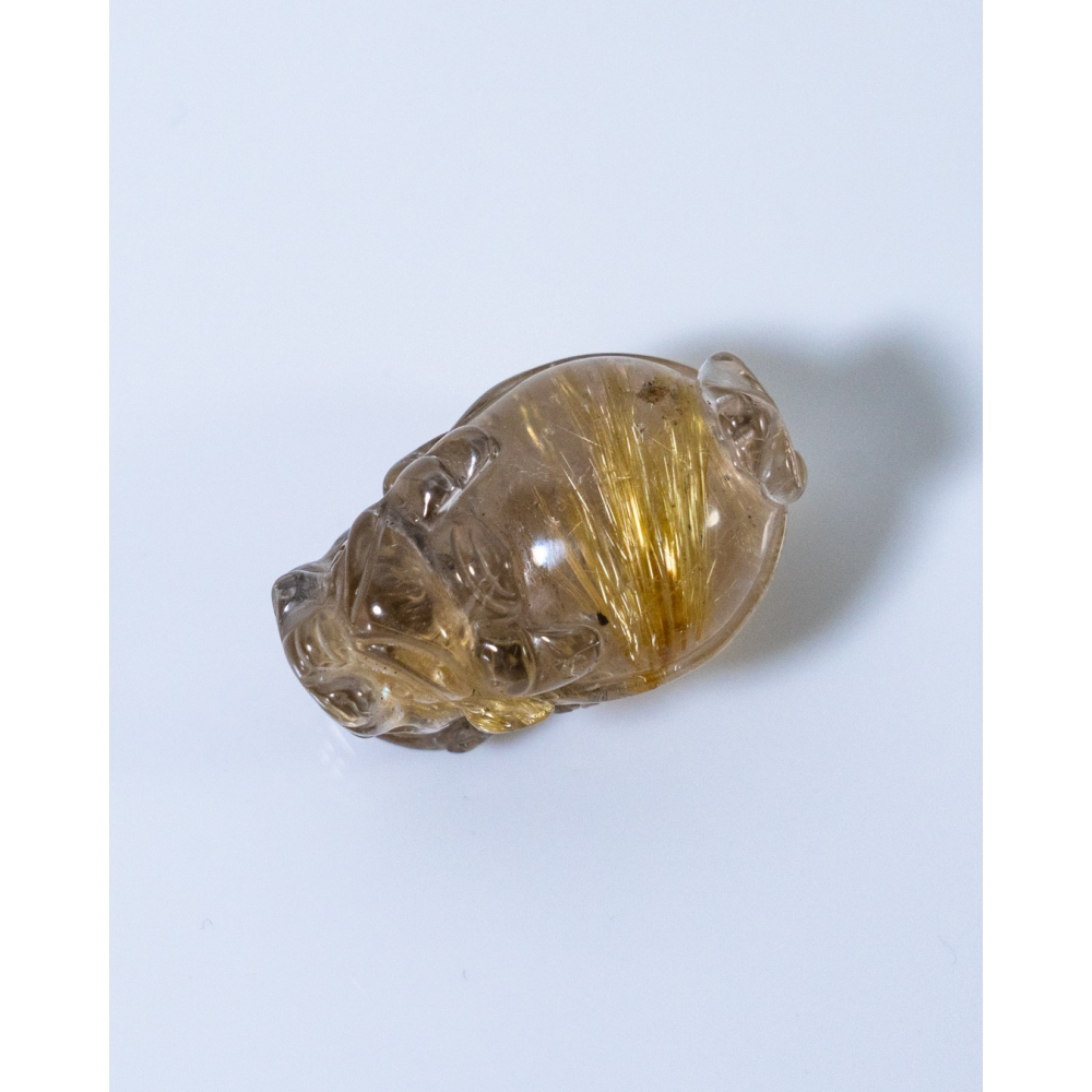 鈦晶小龍龜-細節圖2