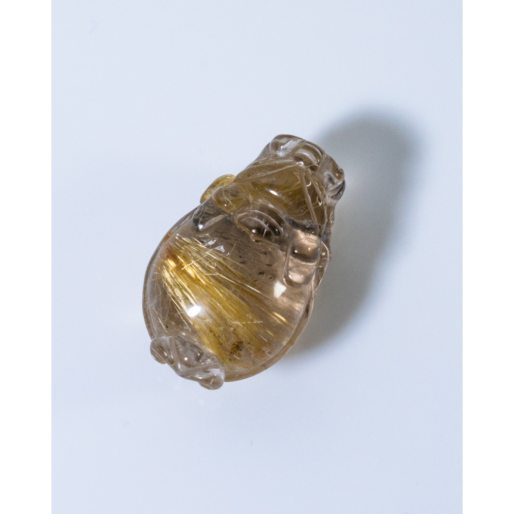 鈦晶小龍龜-細節圖3