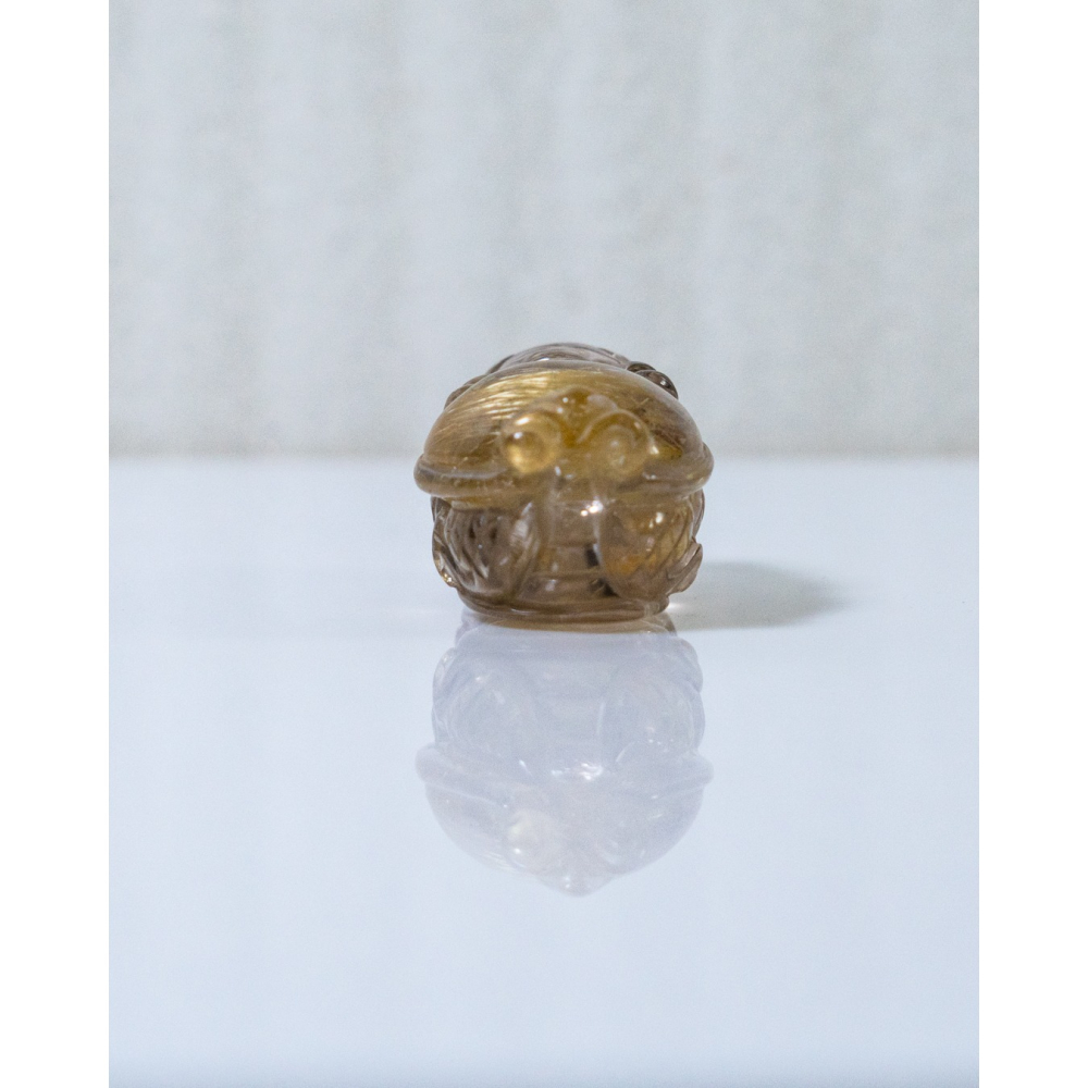 鈦晶小龍龜-細節圖4