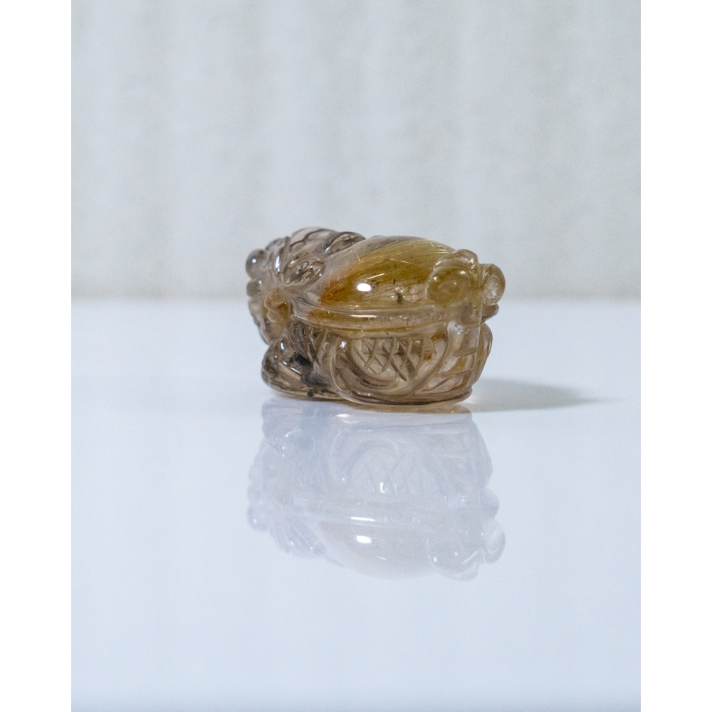 鈦晶小龍龜-細節圖5