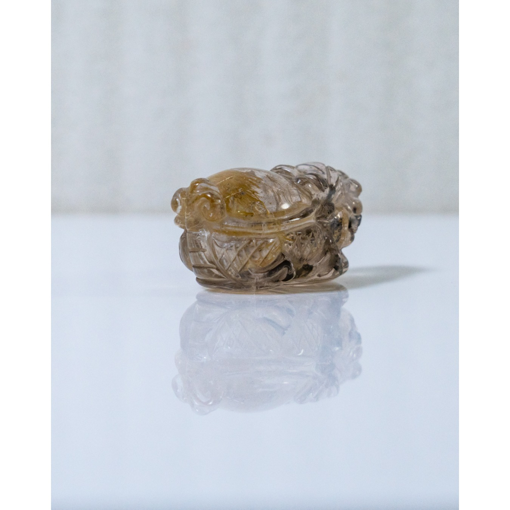 鈦晶小龍龜-細節圖6