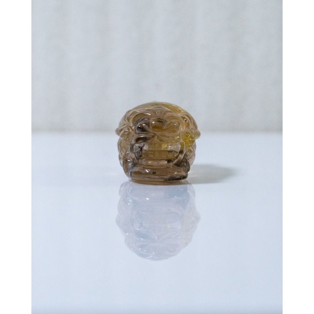 鈦晶小龍龜-細節圖9