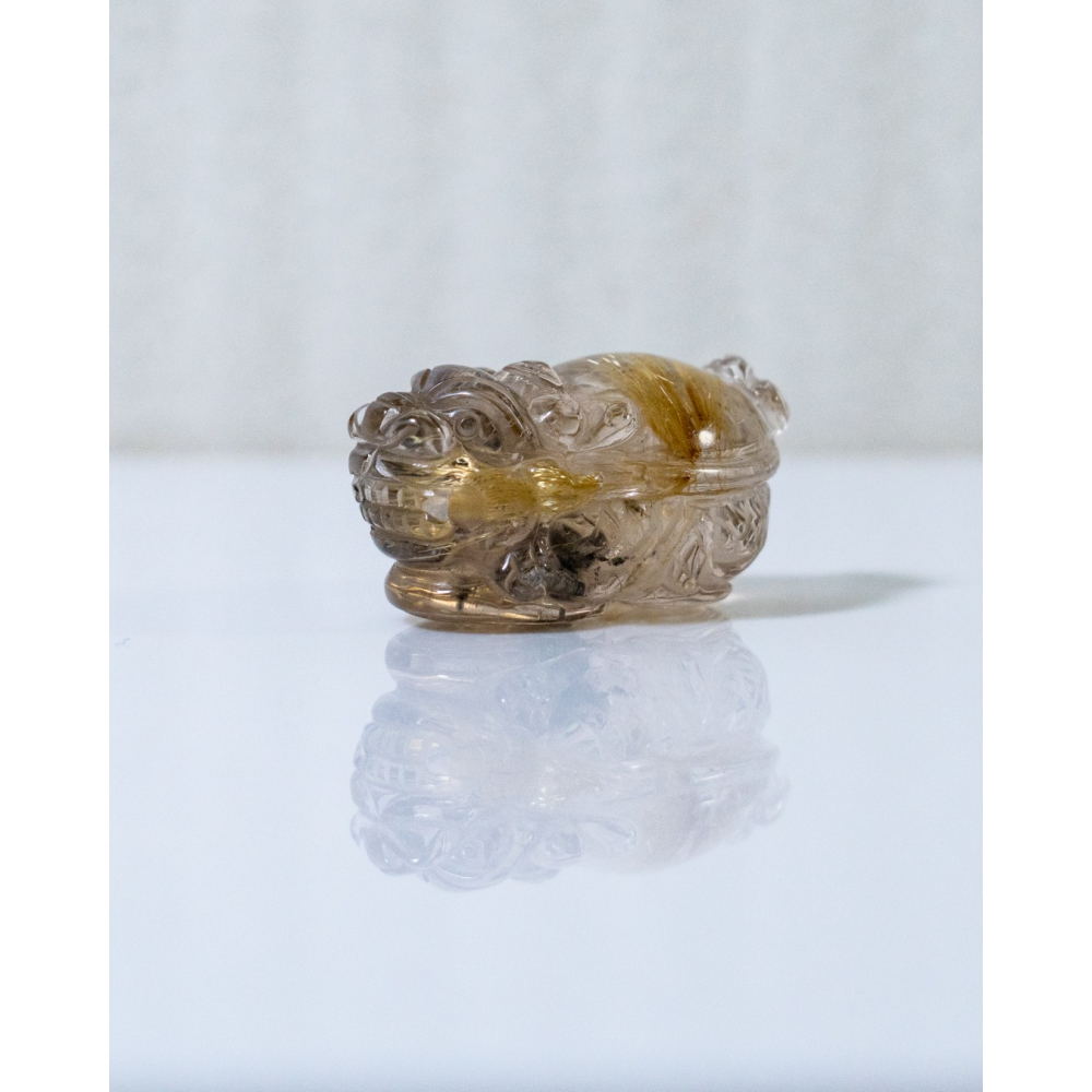 鈦晶小龍龜-細節圖11