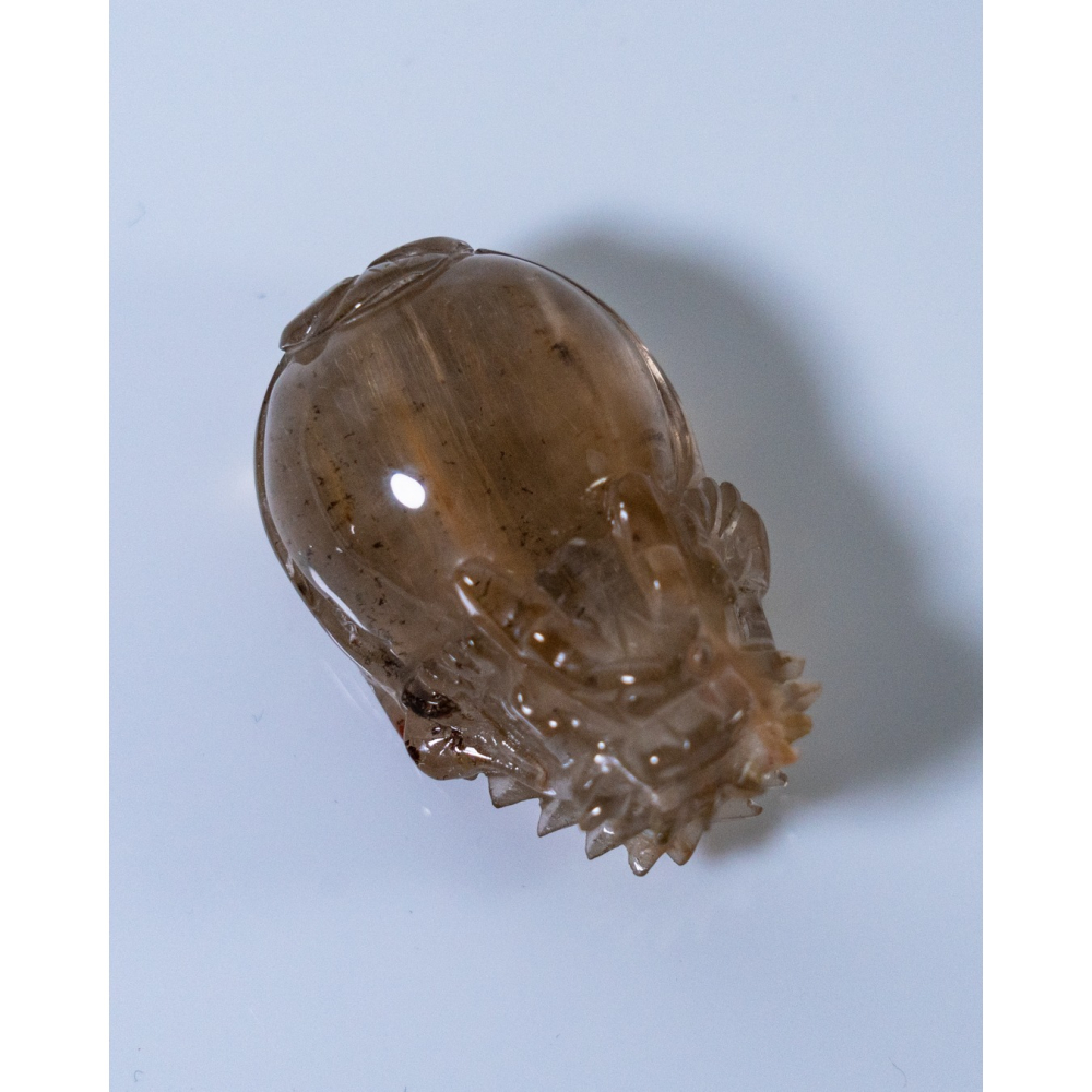 兔毛茶晶小龍龜-細節圖2