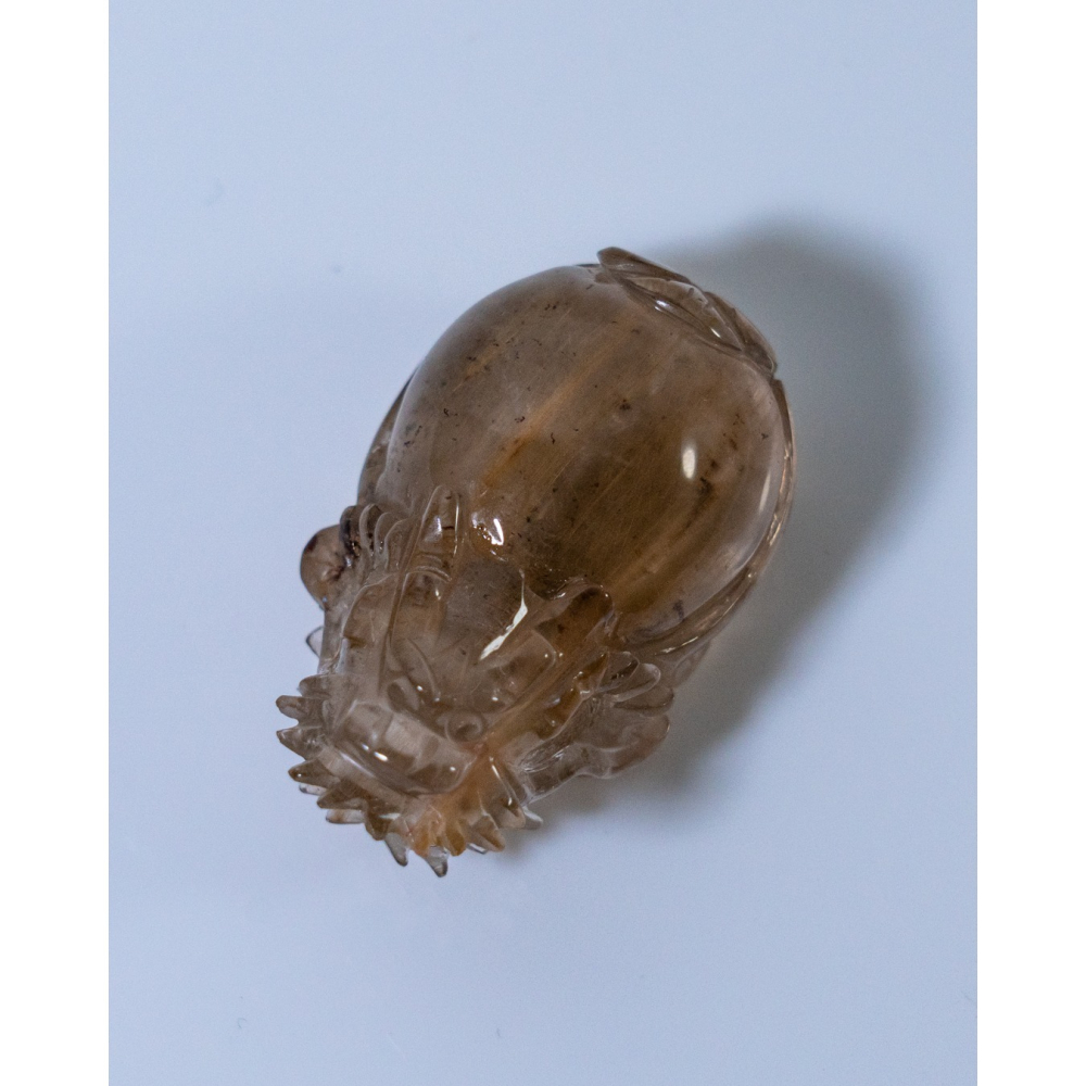 兔毛茶晶小龍龜-細節圖3