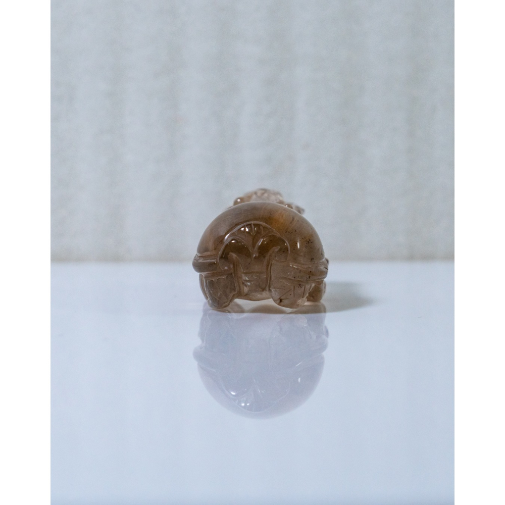 兔毛茶晶小龍龜-細節圖5