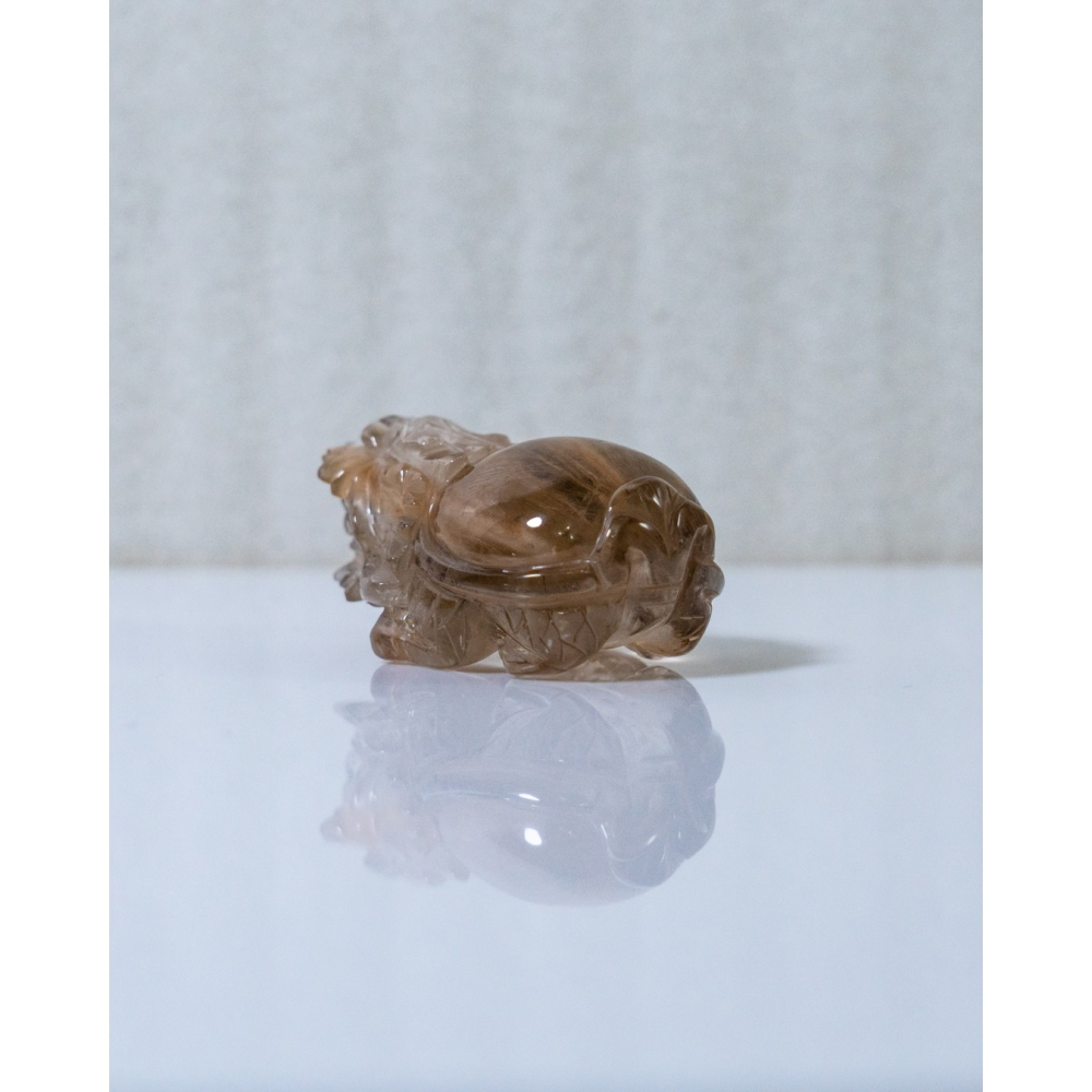 兔毛茶晶小龍龜-細節圖6