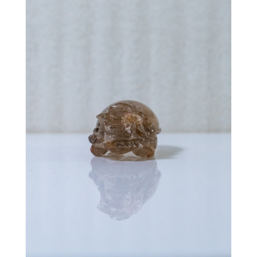 兔毛茶晶小龍龜-細節圖9