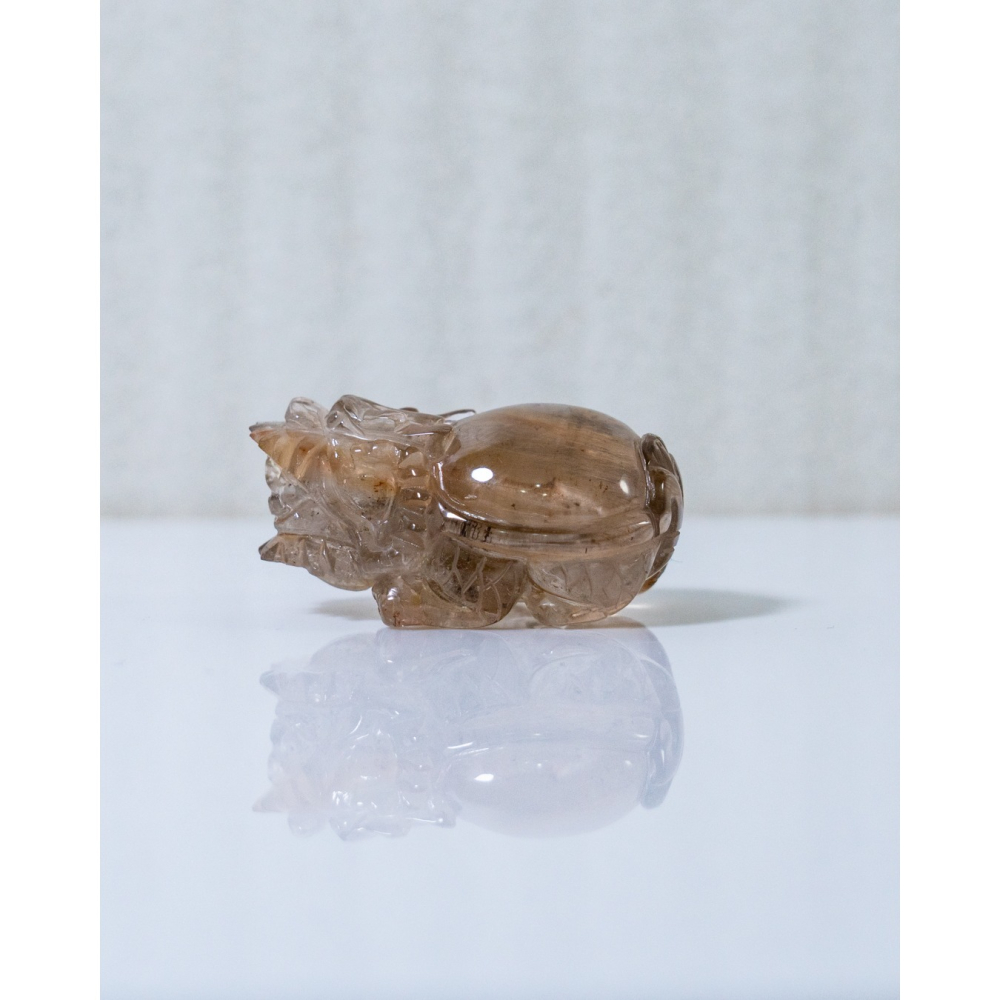 兔毛茶晶小龍龜-細節圖11