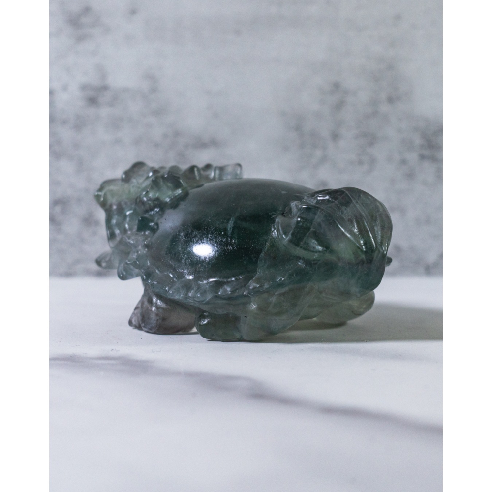 灰綠細閃雲母螢石圓背龍龜-細節圖5