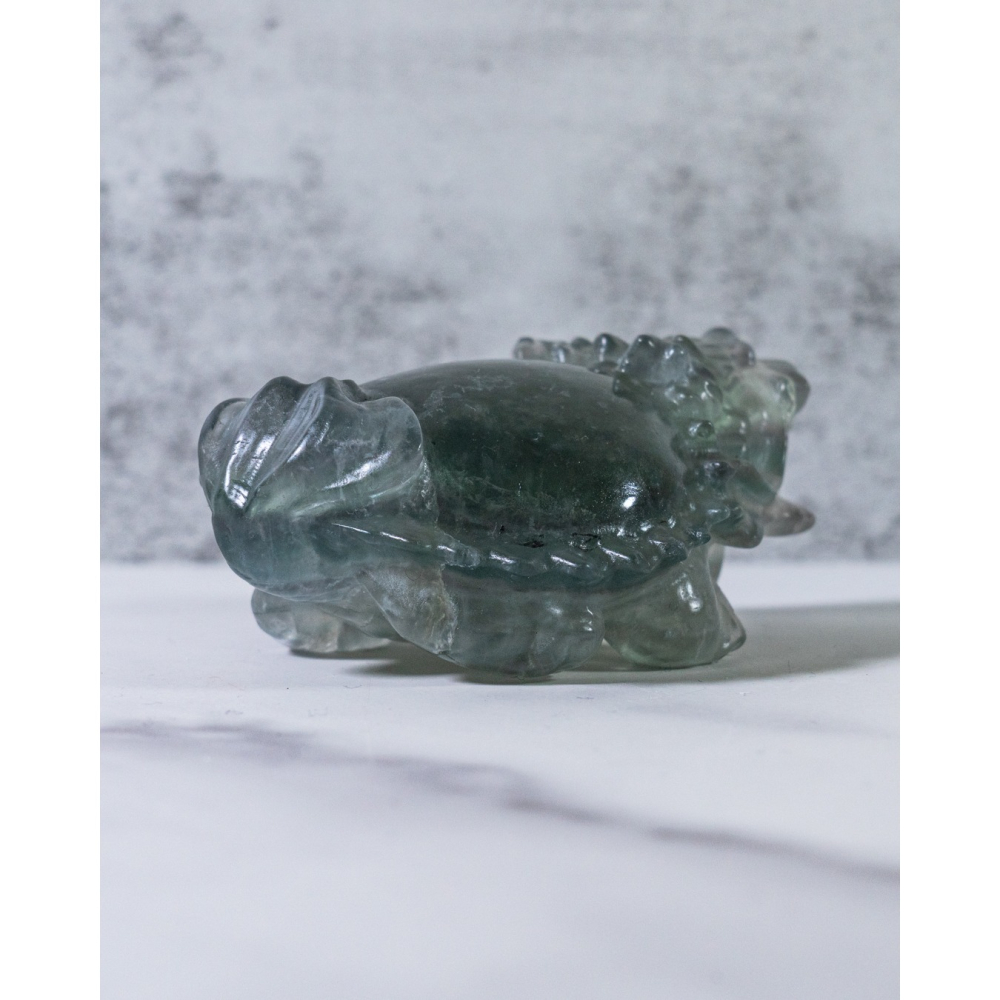 灰綠細閃雲母螢石圓背龍龜-細節圖6